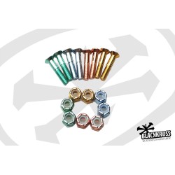 Vis têtes Coniques Multicouleur 1"