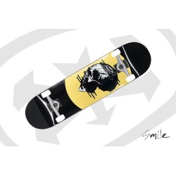 Zipper Styx Complete 8' et 8.1"