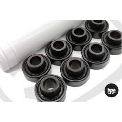 Black Belly Bearings