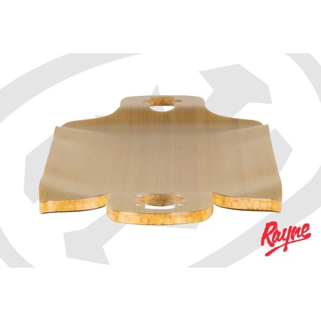 RAYNE Demonseed V4 39" - Plateau de longboard