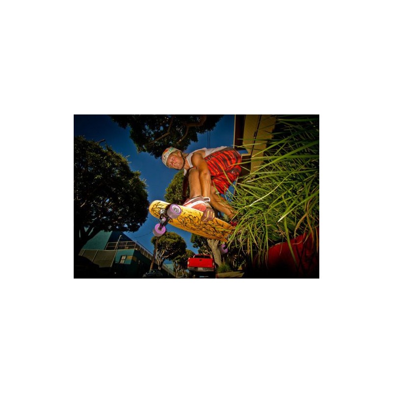 LOADED Poke - Longboard complète